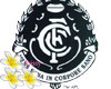 carltion logo