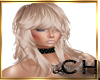 CH Arabella Glassy Blond