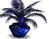 Blue Roze Plant