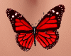 Red Belly Butterfly