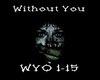 Without You