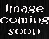 KARZVERBS WB BANNER