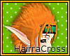 HC~ GrandChase Ryan Hair