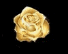 GOLD ROSES 