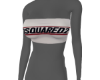 dsq v2