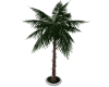 LIT PALM TREE