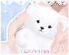 [T] Teddy bear White II