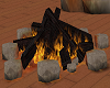 Exclusive Campfire