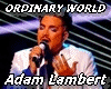 ORDINARY WORLD OW1-13
