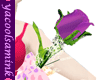 [VEENA] violet rose