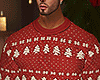 ✗Christmas Sweater
