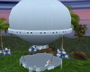 Wedding Hot Air Ballon