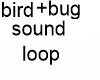 bird + bug sound loop