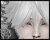 5C DUST WHITE