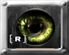 RG Essence eye lighgreen