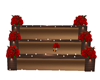 Valentines flowers pose