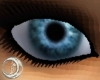 DW1 Eyes {BLUE NOVA}