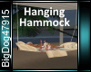 [BD]HangingHammock