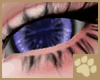 ~AM~ Bowa Eyes F&M v1