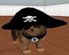 BT Pirate Cat