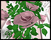 5C CORNER FLOWERS