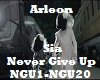 Never Give Up Sia