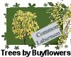 Common Laburnum tree 