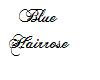 Blue Hairrose "Fia"