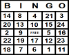 Bingo Card 8