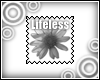 Lifeless daisy