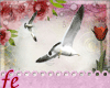 [fe]Birds/Seagull*Enh