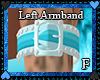 Left armband blue