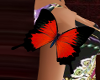 (T)Butterfly Arm 4