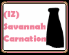 (IZ) Savannah Carnation