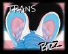 Trans | Ears 1