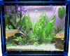 animated fish pic,