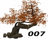 007 Fall kissing tree