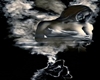 ALIENTO DE LOBO