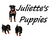 Juliette's Puppies