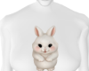 Baby Bunny