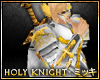 ! Holy Knight Long Cape