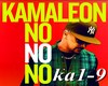 No No NO Kamaleon