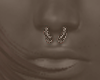 septum 