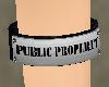 Public Property armband