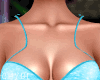 C~Blue Butterfly Set