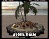 *Aloha Palm