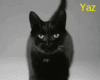 Ace Of  Base ◘◘