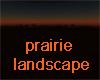 prairie sunset landscape