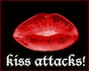 SY4|KISS ATTACKS! 