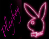 playboy bunny pose